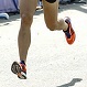 article photo