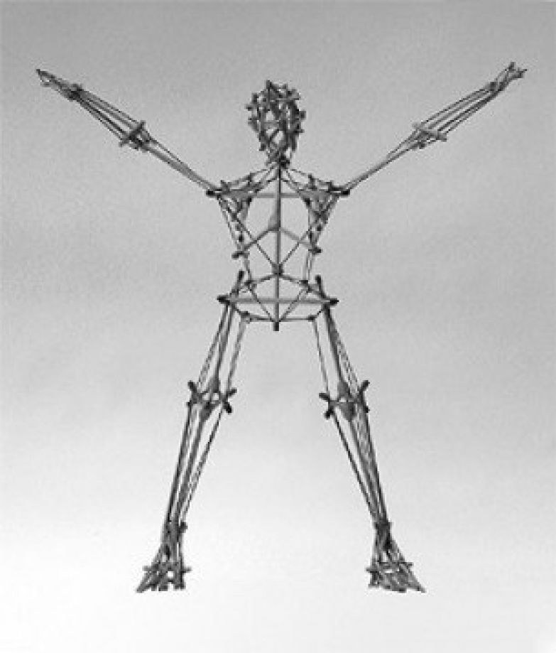 01.tensegrity skeleton