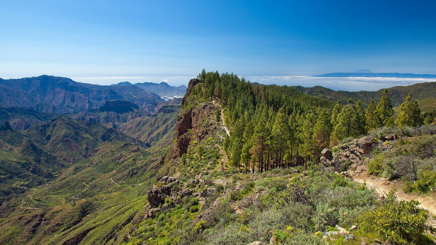 transgrancanaria