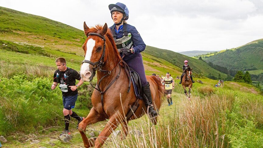 Horse and runer below the Garn