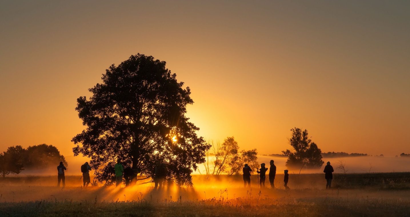 Wycieczka biegowa – czym jest i dlaczego warto ją włączyć do treningu?