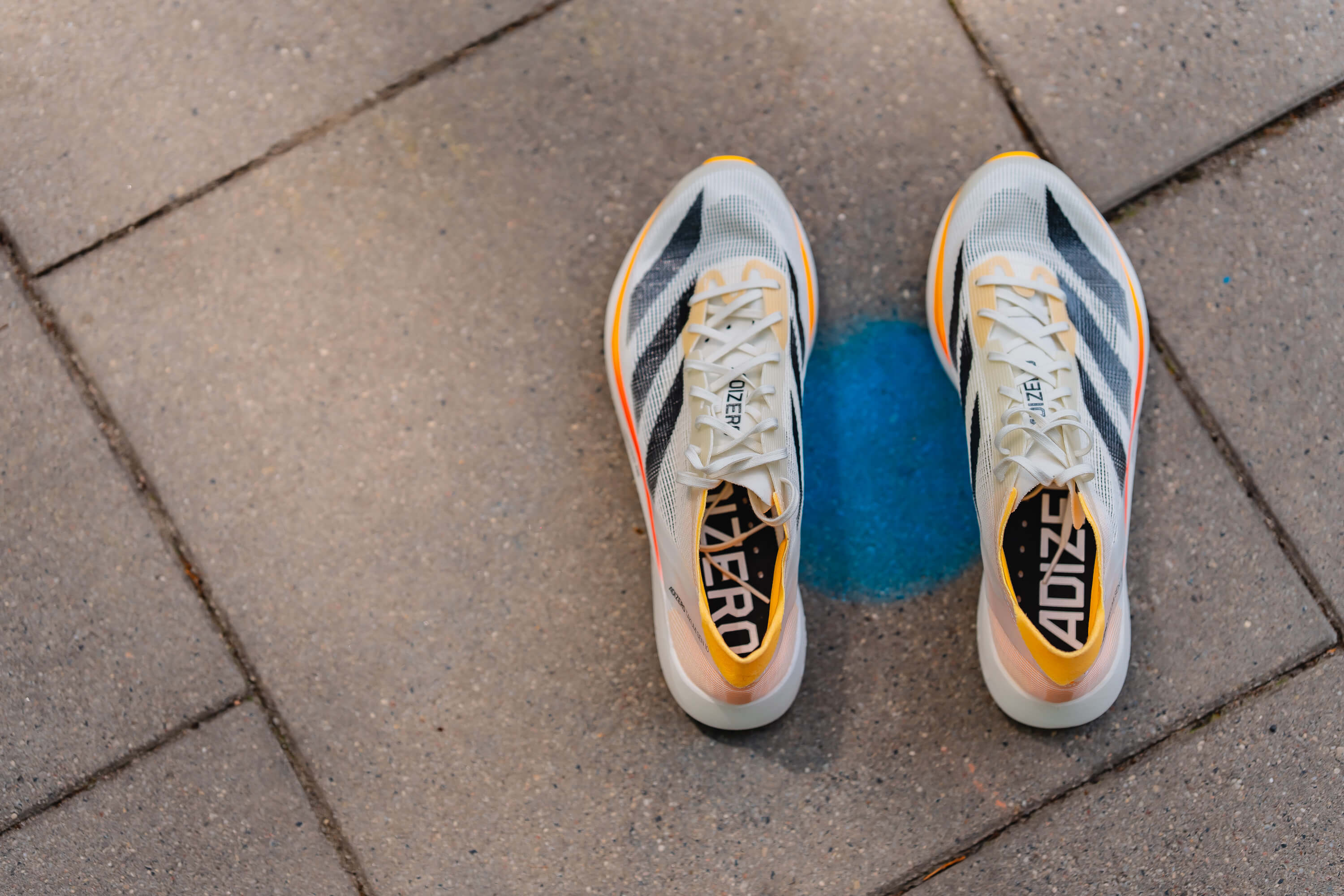 Adidas Adizero Takumi Sen 10, czyli lekkość i dynamika – recenzja butów