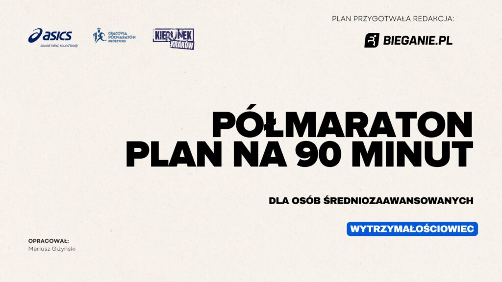 WYTRZYMALOSCIOWIEC – wstep do planu Gizy