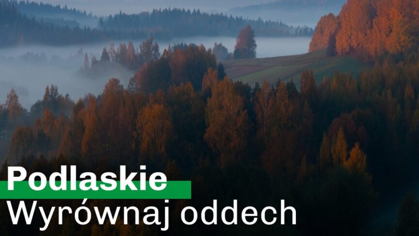 Suwalskie2.1 1200x628 1