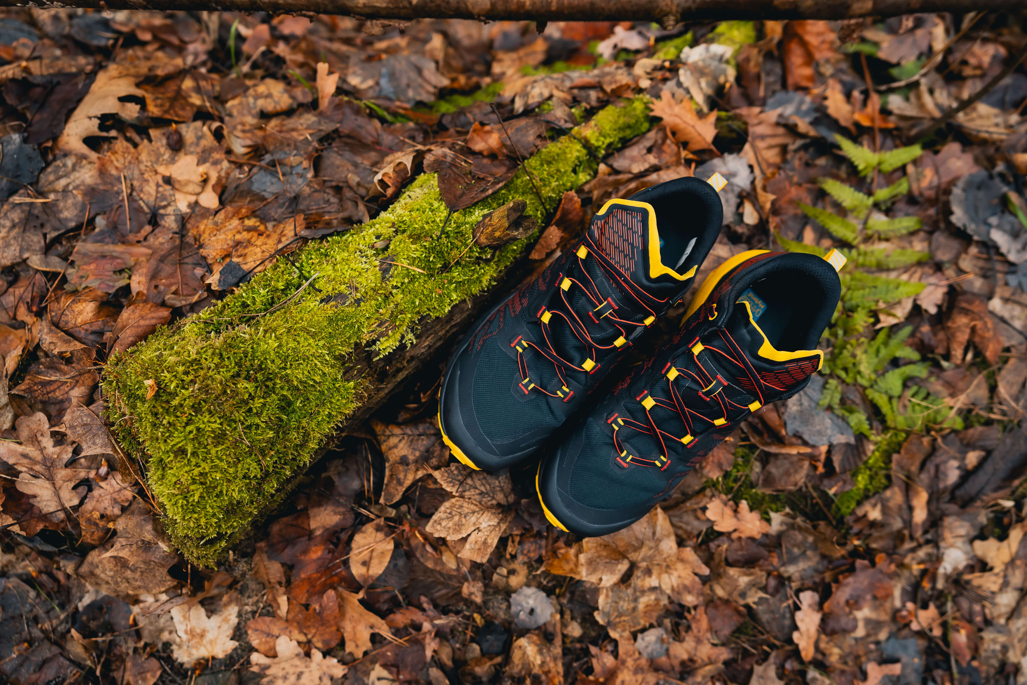 La Sportiva Jackal II GTX – Buty w teren z dużym potencjałem. Recenzja