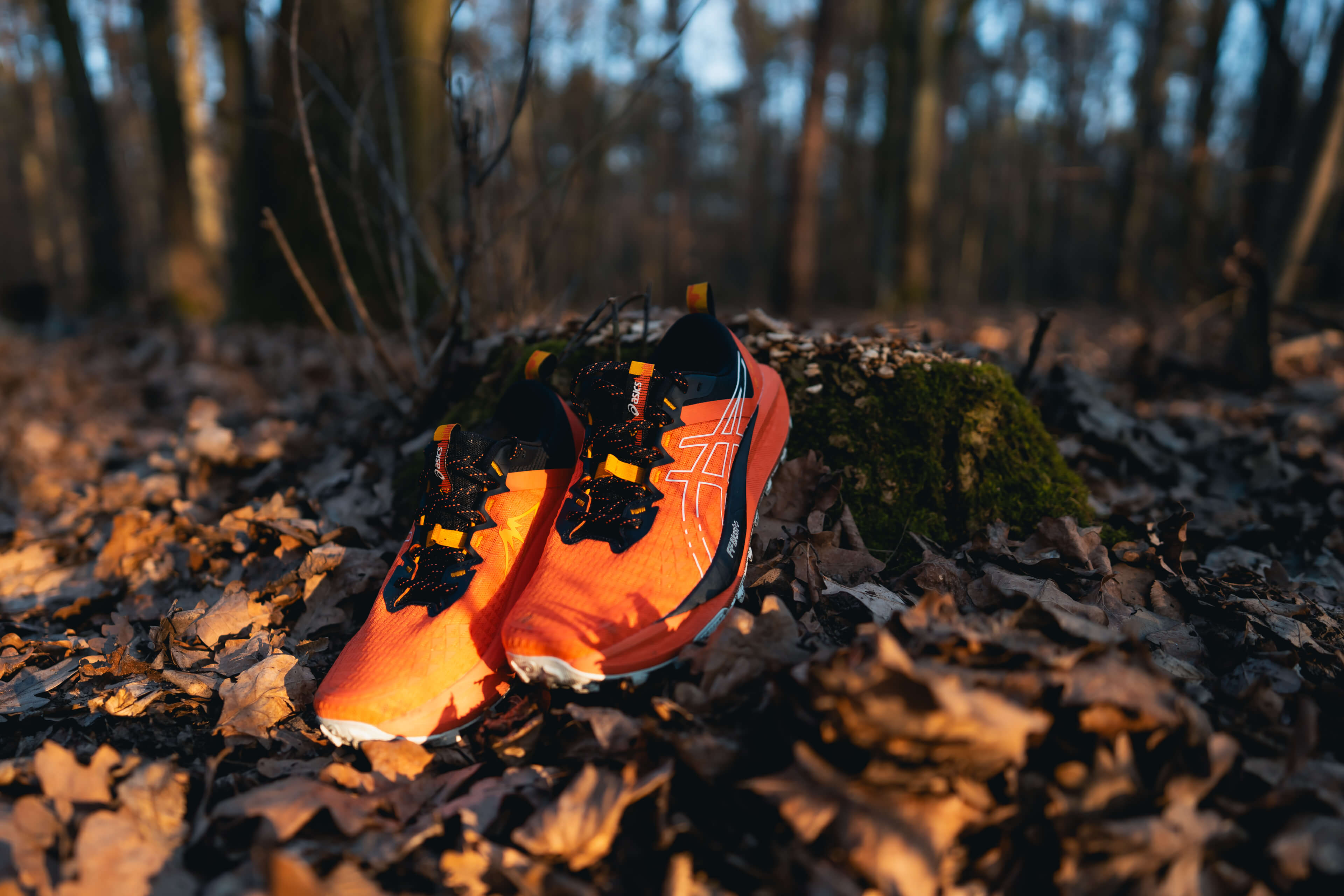Recenzja ASICS Gel-Trabuco 13 – Uniwersalne buty do biegania na każdą trasę: Samuraj nie ma celu, tylko drogę