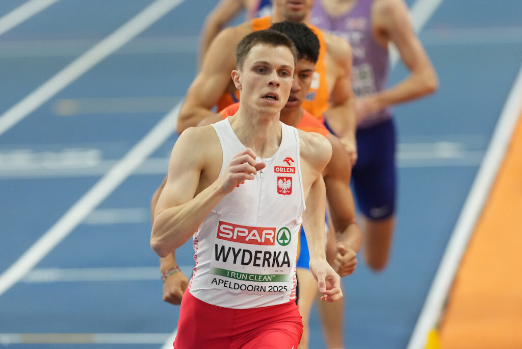 Wyderka