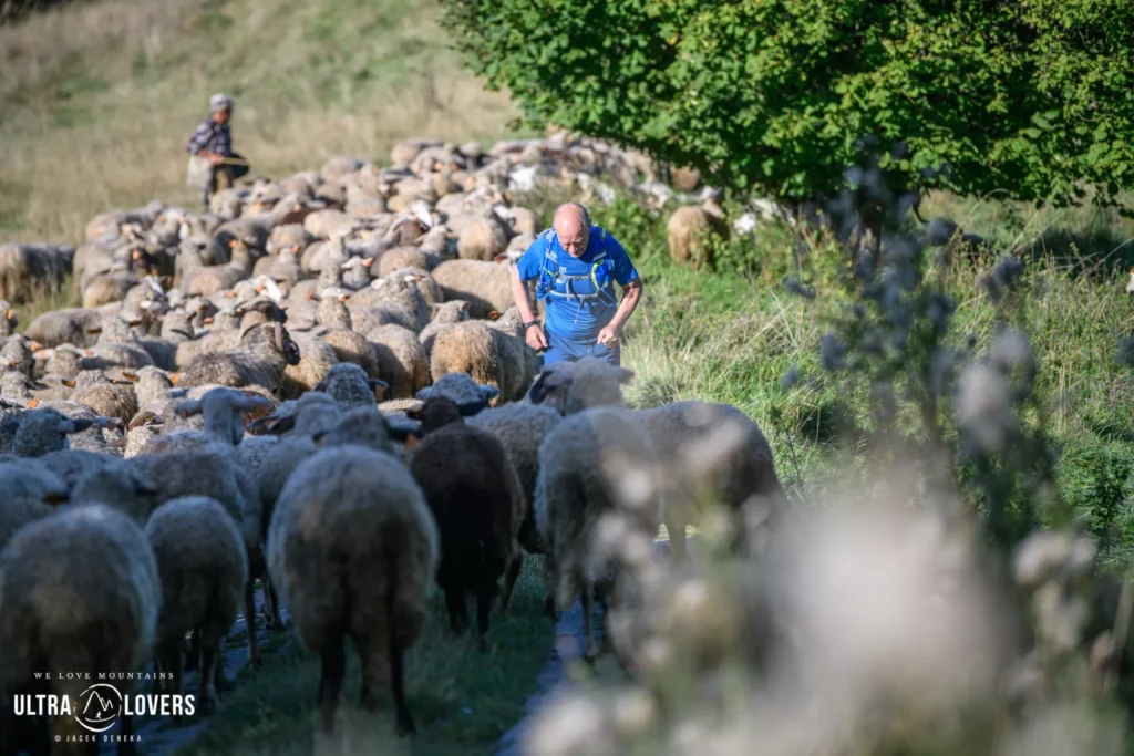 14. Festiwal Biegowy w Piwnicznej. Niedziela 10 wrzesnia trasa Bieg Gorski 23 km. Fot. Jacek Deneka 27.jpg