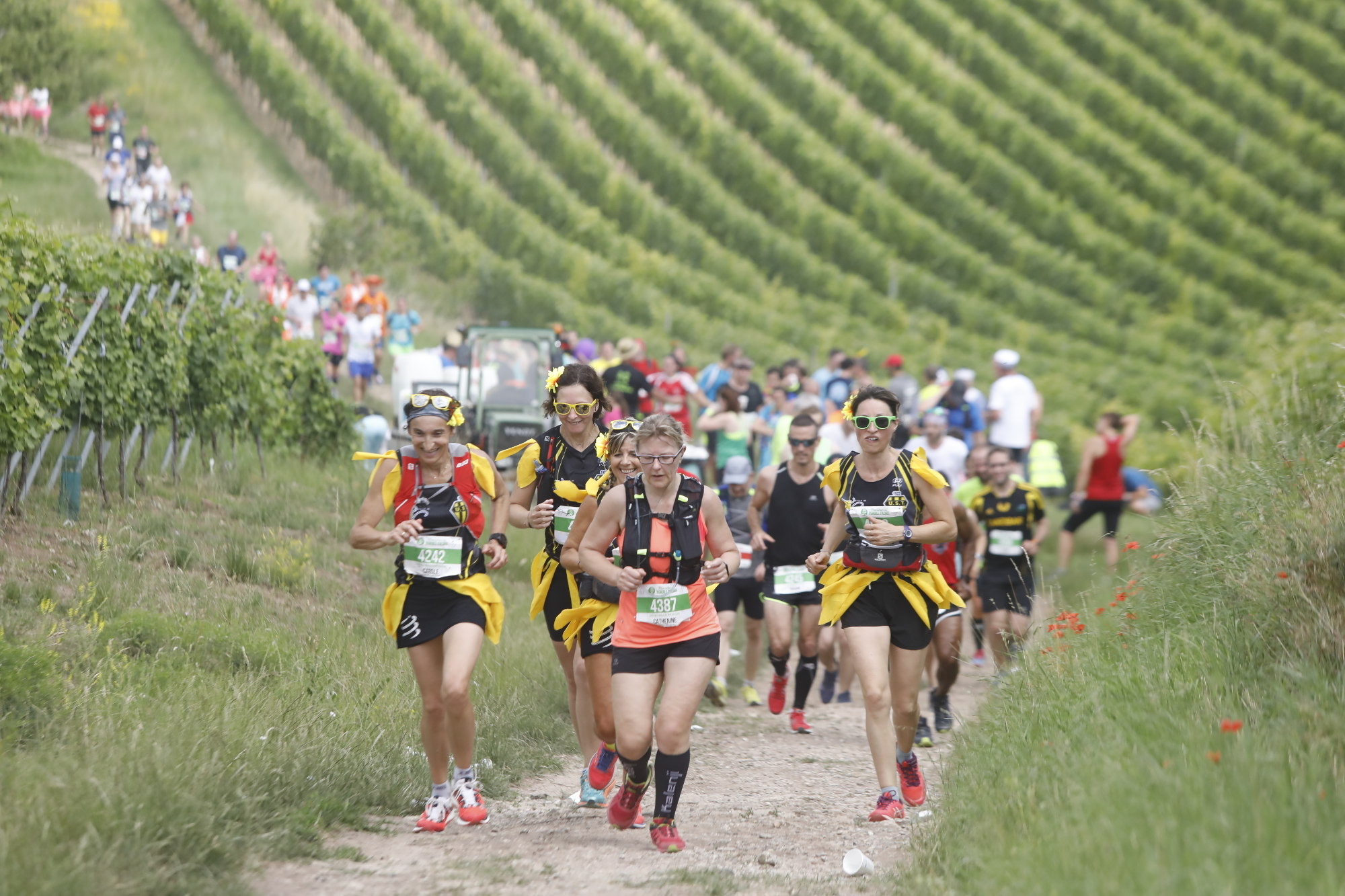51 butelek wina za zwycięstwo we francuskim Marathon du Vignoble