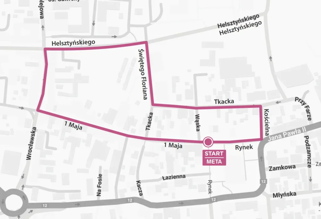 Trasa Biegu Go5 Gostyn 2025 1024x699 1