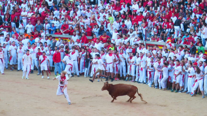 bieg z bykami , sanfermines, encierro