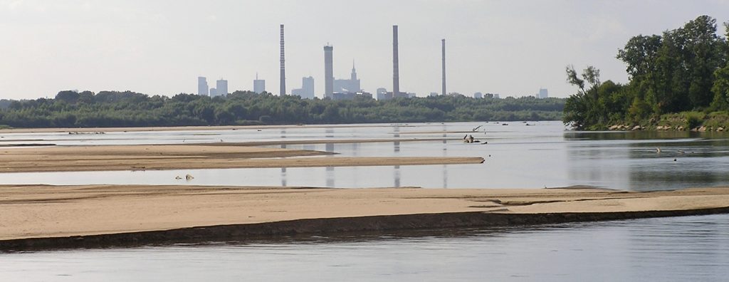 Rezerwat przyrody wyspy zawadowskie warszawa jozefow 4