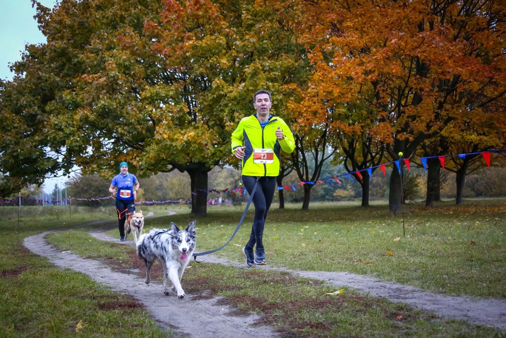 WARSAWDOGRUN 11 10 MarcinSelerski 0015
