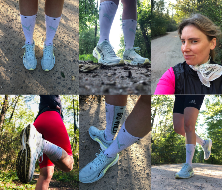 zbioroweWojciechowicz