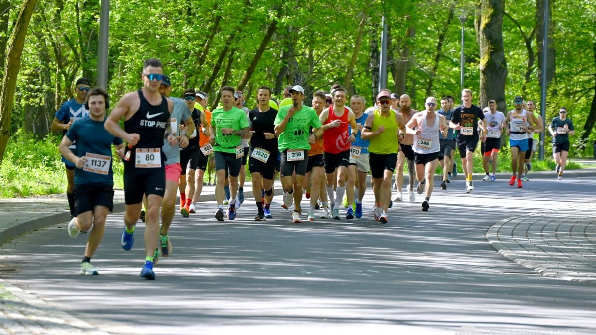 20250427 280 pl dg zielona park zielona 17 polmaraton dabrowski trasa