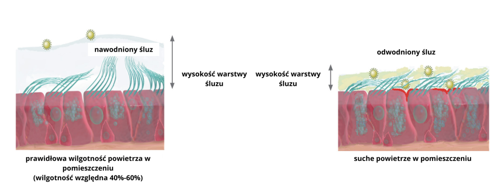górne drogi oddechowe