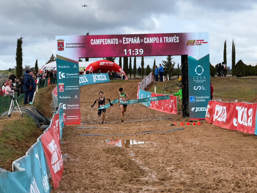 618243286 1415214883968118 8964228935441594023 n