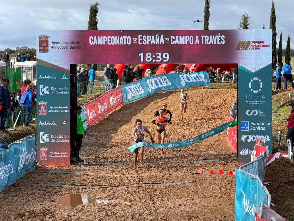 619538405 1415215060634767 2017577527864611545 n