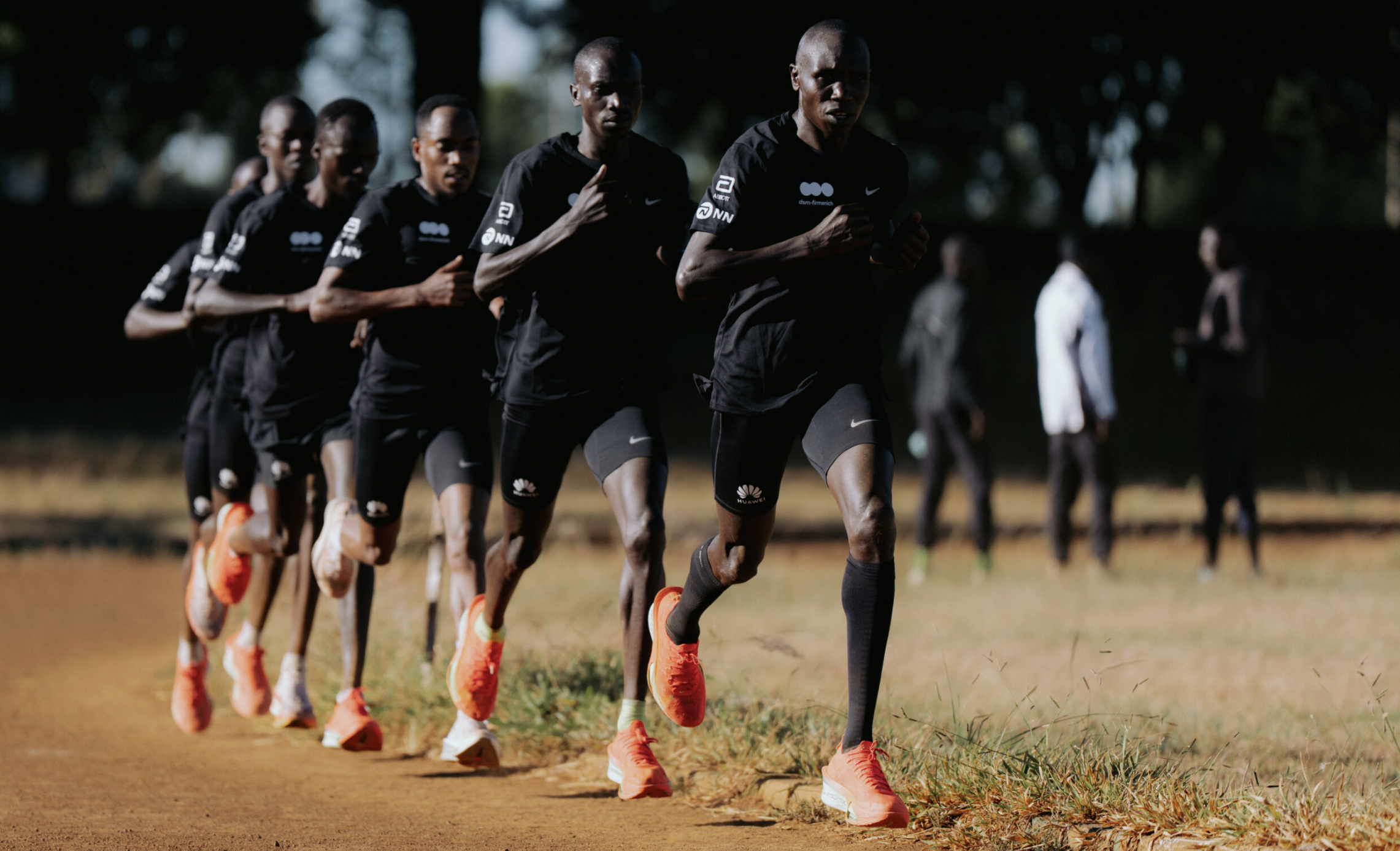 Grupa biegowa dsm-firmenich Running Team