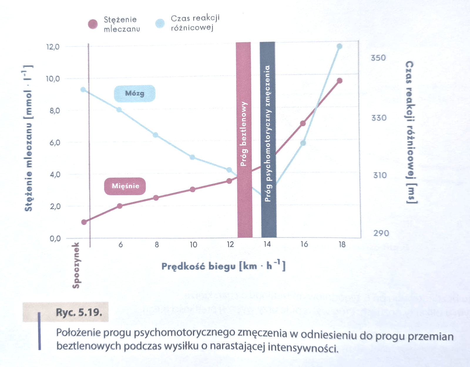 Jak trenować mózg, by wygrywać w górach? PFT – próg psychomotorycznego zmęczenia