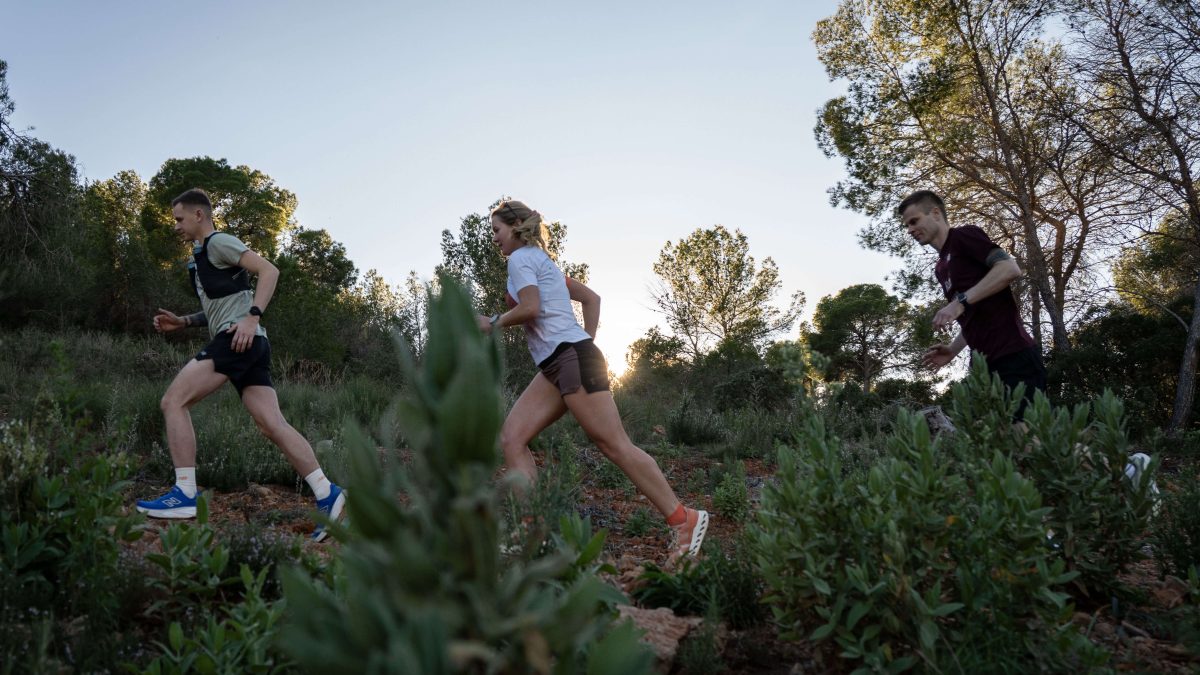 walencja sesja gory trail mjw 150