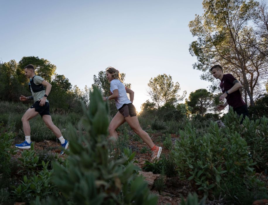 walencja sesja gory trail mjw 150